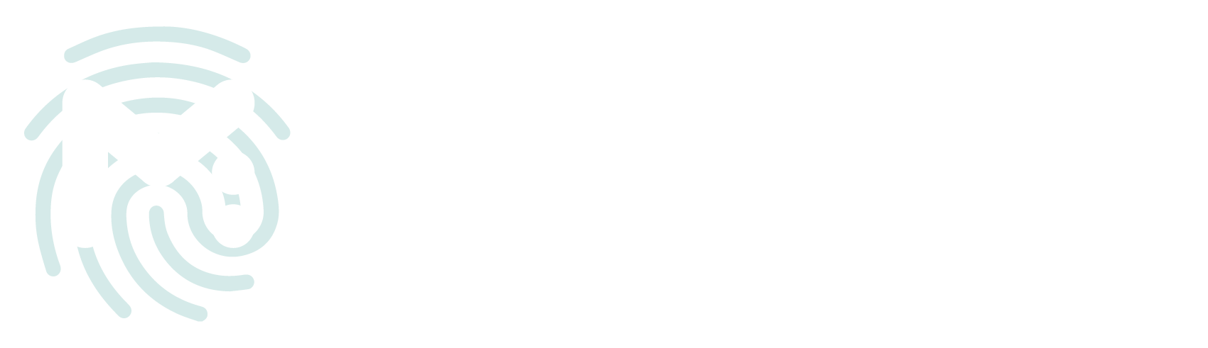 MT peritaje informático